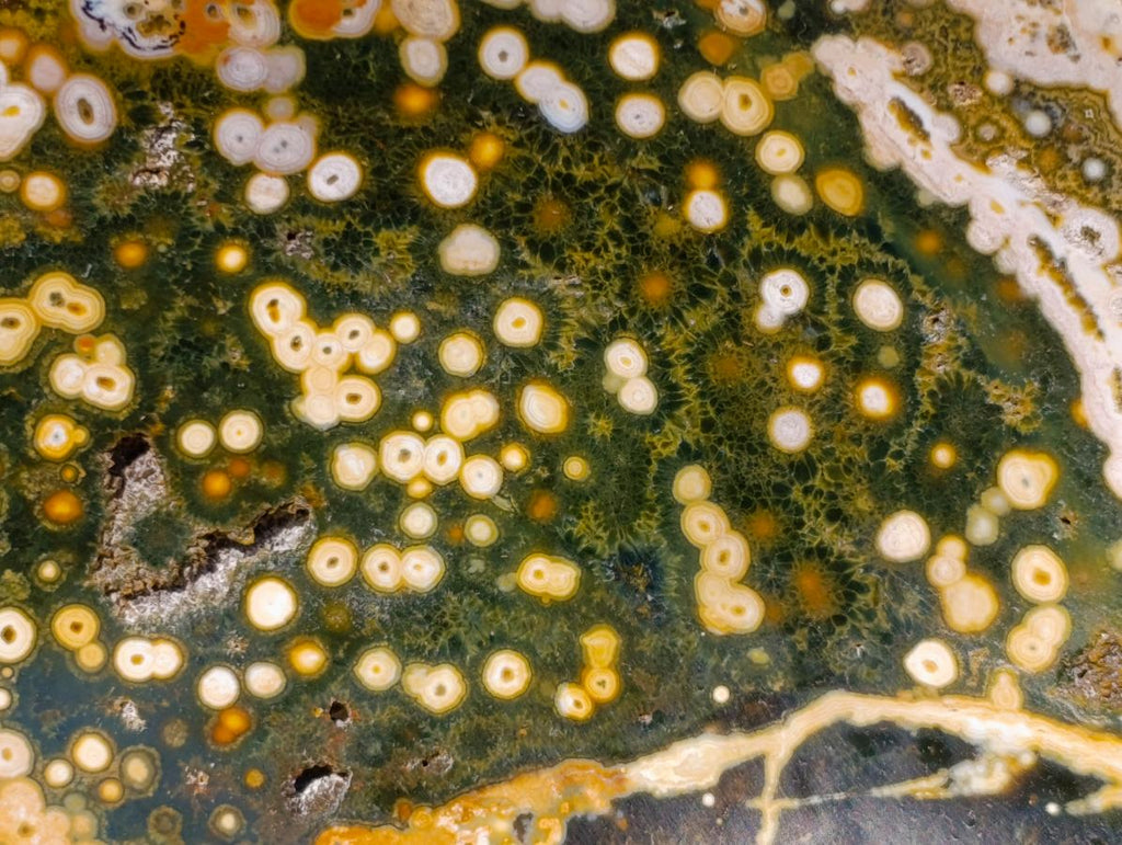 Polished Ocean Jasper Bowls x 2 From Northwest Coast, Madagascar - Toprock Gemstones and Minerals 