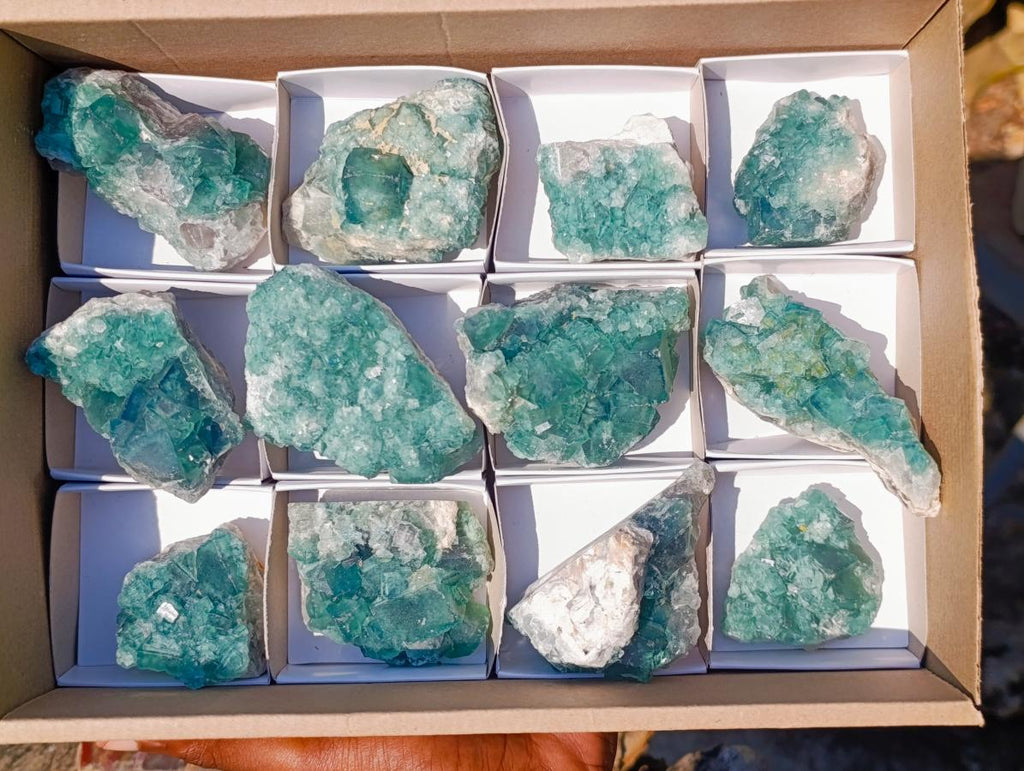 Natural Green Cubic Fluorite Specimens x 12 From Mandrosonoro, Madagascar - Toprock Gemstones and Minerals 