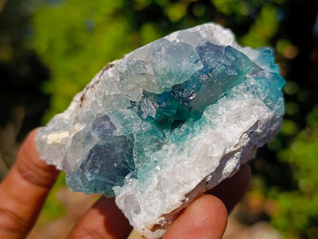 Natural Green Cubic Fluorite Specimens x 12 From Mandrosonoro, Madagascar - Toprock Gemstones and Minerals 