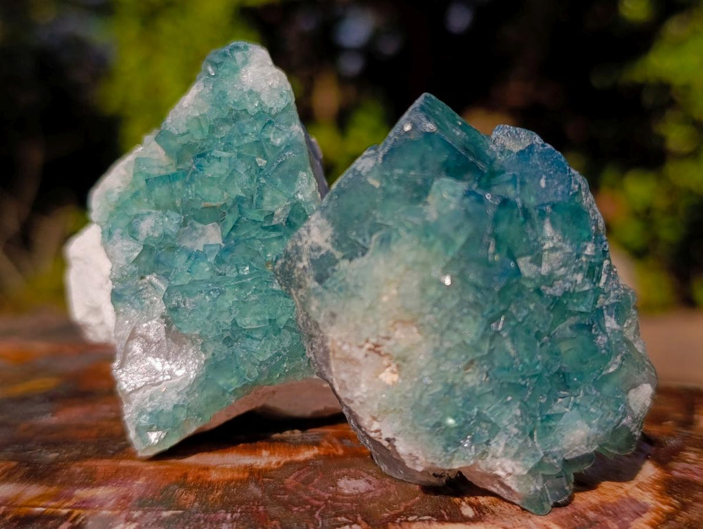 Natural Green Cubic Fluorite Specimens x 12 From Mandrosonoro, Madagascar - Toprock Gemstones and Minerals 
