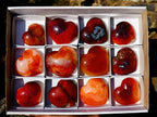 Polished Carnelian Agate Gemstone Hearts x 12 From Madagascar - Toprock Gemstones and Minerals 