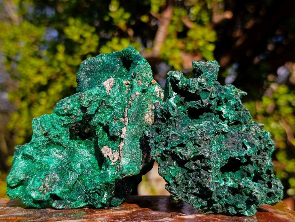 Natural Silky Malachite Specimens x 3 From Kasompe, Congo - Toprock Gemstones and Minerals 