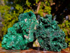 Natural Silky Malachite Specimens x 3 From Kasompe, Congo - Toprock Gemstones and Minerals 