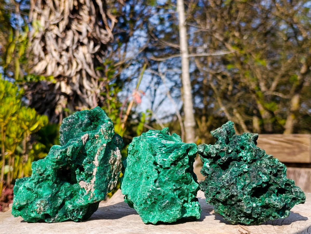 Natural Silky Malachite Specimens x 3 From Kasompe, Congo - Toprock Gemstones and Minerals 