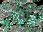 Natural Silky Malachite Specimens x 3 From Kasompe, Congo - Toprock Gemstones and Minerals 