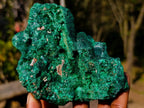 Natural Silky Malachite Specimens x 3 From Kasompe, Congo - Toprock Gemstones and Minerals 