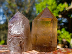 Polished Smokey Citrine and Smokey Window Quartz Crystals x 6 From Madagascar - Toprock Gemstones and Minerals 