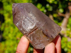 Polished Smokey Citrine and Smokey Window Quartz Crystals x 6 From Madagascar - Toprock Gemstones and Minerals 