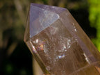 Polished Smokey Citrine and Smokey Window Quartz Crystals x 6 From Madagascar - Toprock Gemstones and Minerals 