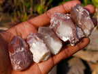 Natural Red Hematoid Quartz Crystals x 35 From Karoi, Zimbabwe - Toprock Gemstones and Minerals 