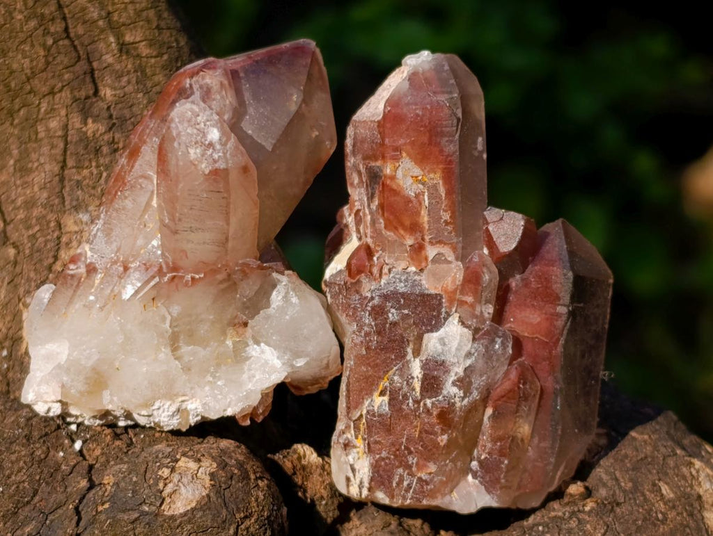 Natural Red Hematoid Quartz Crystals x 35 From Karoi, Zimbabwe - Toprock Gemstones and Minerals 