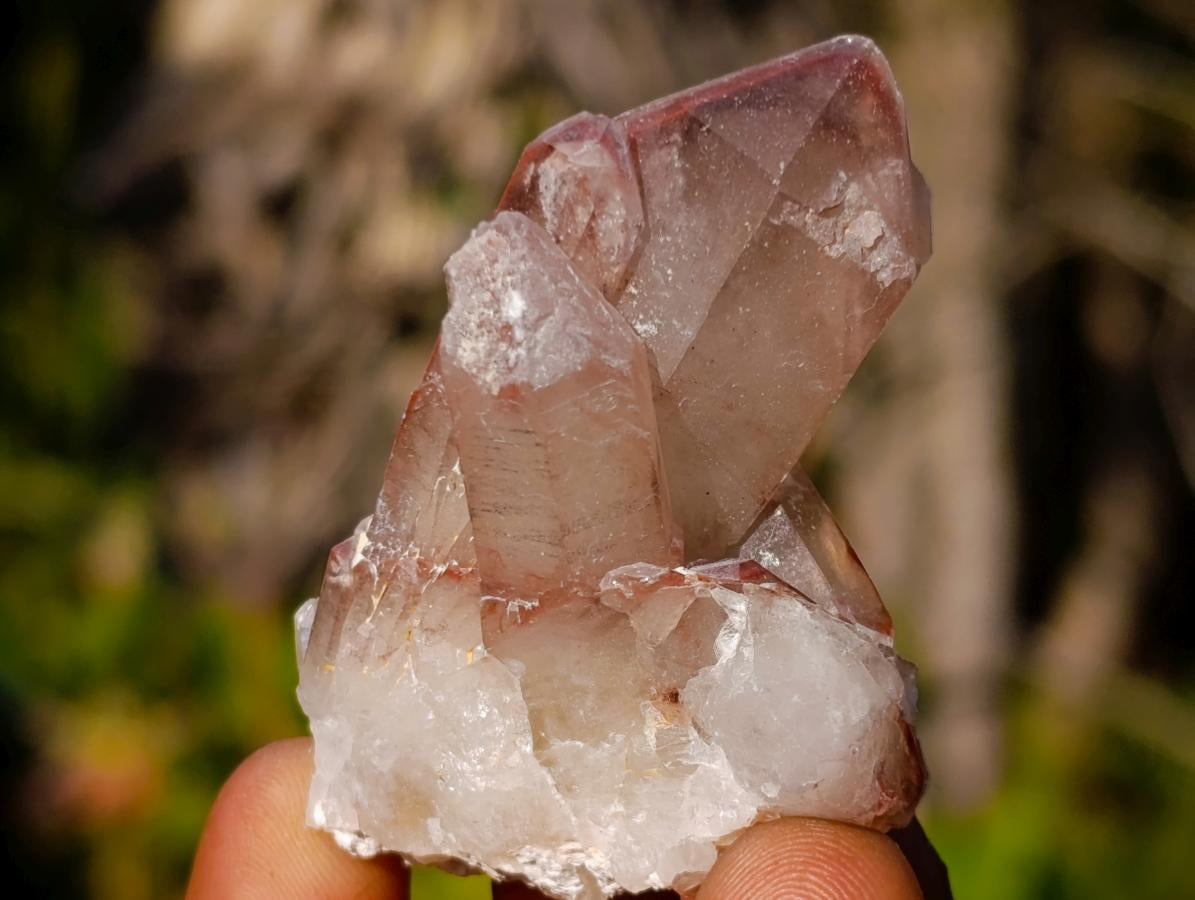 Natural Red Hematoid Quartz Crystals x 35 From Karoi, Zimbabwe - Toprock Gemstones and Minerals 