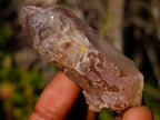 Natural Red Hematoid Quartz Crystals x 35 From Karoi, Zimbabwe - Toprock Gemstones and Minerals 