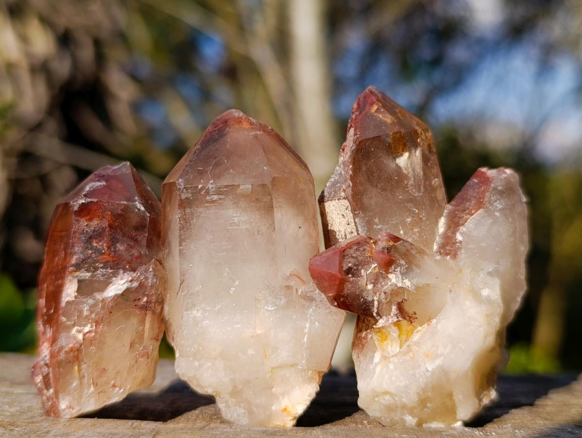 Natural Red Hematoid Quartz Crystals x 35 From Karoi, Zimbabwe - Toprock Gemstones and Minerals 
