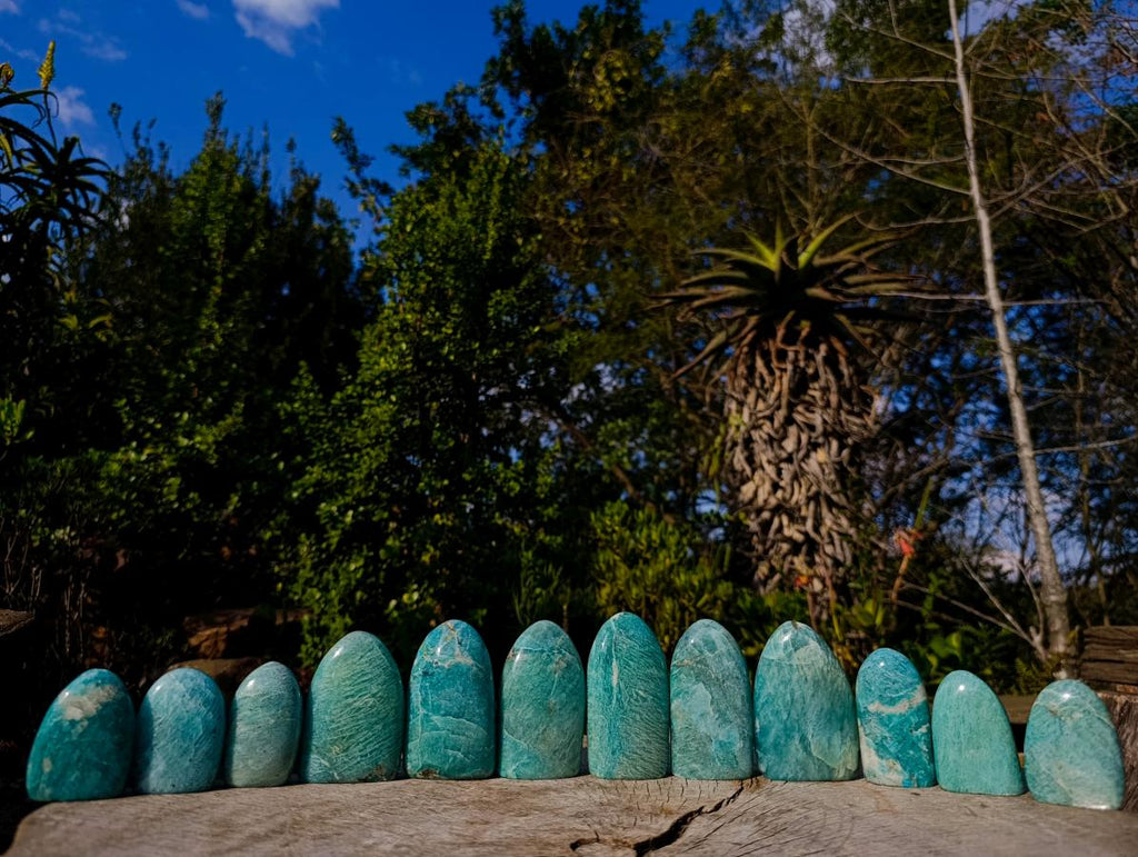 Polished Amazonite Standing Display Pieces x 12 From Madagascar - Toprock Gemstones and Minerals 