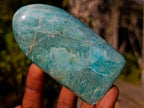 Polished Amazonite Standing Display Pieces x 12 From Madagascar - Toprock Gemstones and Minerals 