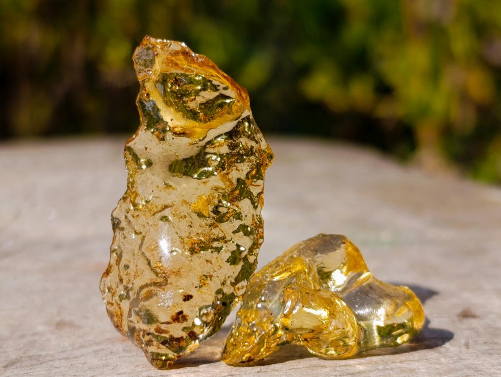 Natural Copal Amber Specimens with Insect and Plant Inclusions x 70 From Lemur Island, Madagascar - Toprock Gemstones and Minerals 