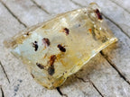 Natural Copal Amber Specimens with Insect and Plant Inclusions x 70 From Lemur Island, Madagascar - Toprock Gemstones and Minerals 