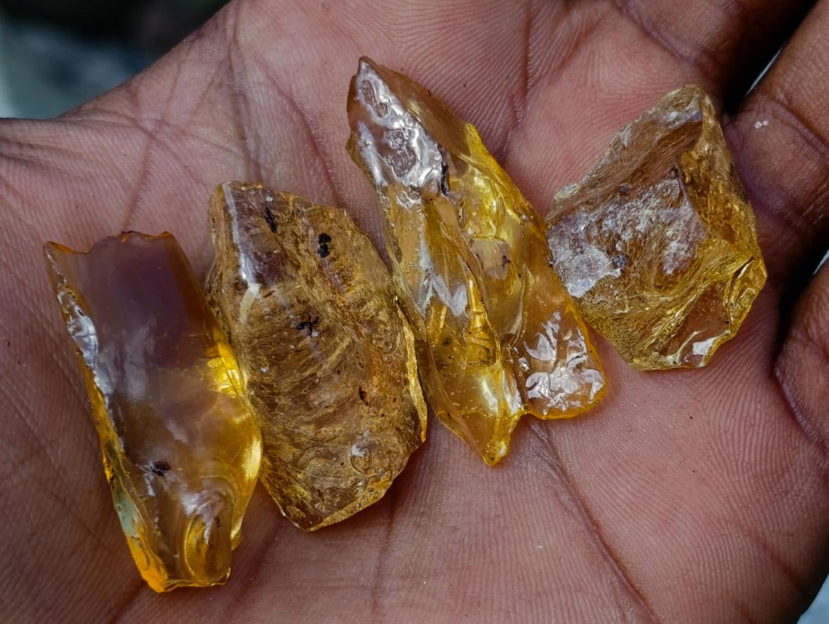 Natural Copal Amber Specimens with Insect and Plant Inclusions x 70 From Lemur Island, Madagascar - Toprock Gemstones and Minerals 