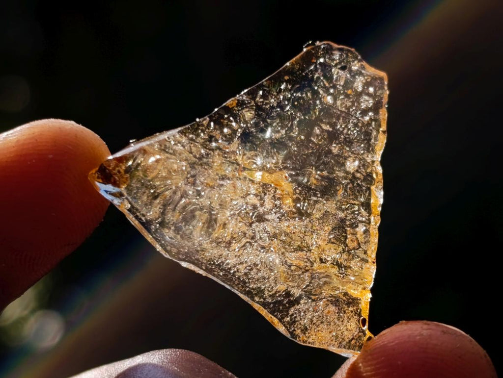 Natural Copal Amber Specimens with Insect and Plant Inclusions x 70 From Lemur Island, Madagascar - Toprock Gemstones and Minerals 