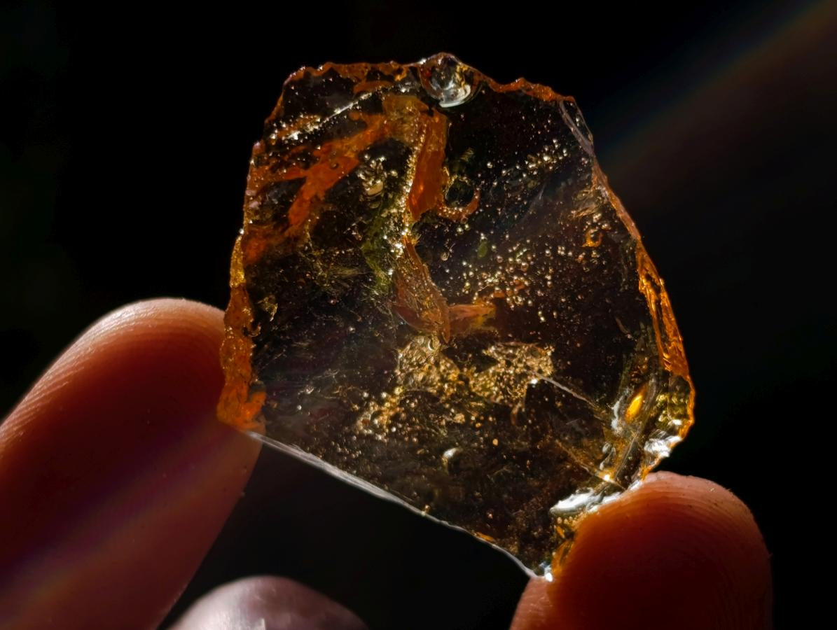 Natural Copal Amber Specimens with Insect and Plant Inclusions x 70 From Lemur Island, Madagascar - Toprock Gemstones and Minerals 