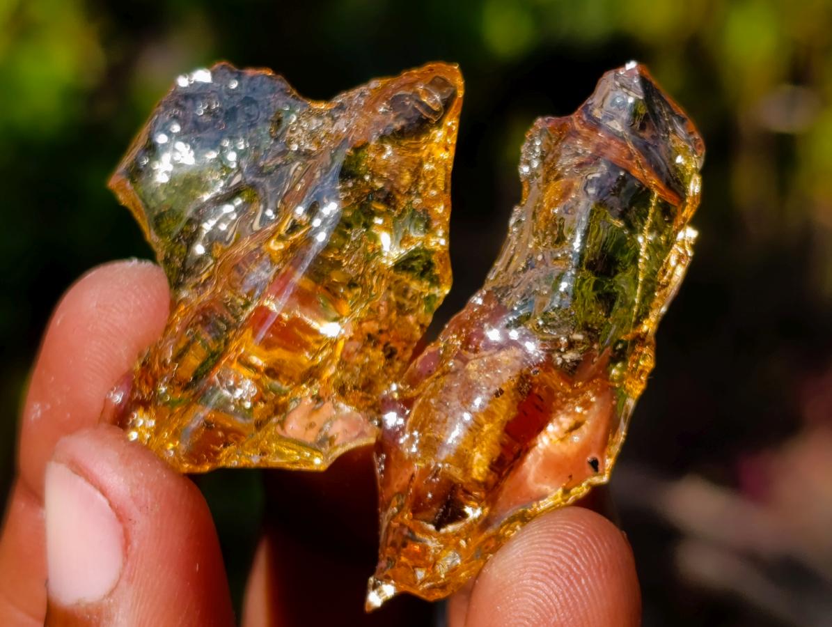 Natural Copal Amber Specimens with Insect and Plant Inclusions x 70 From Lemur Island, Madagascar - Toprock Gemstones and Minerals 