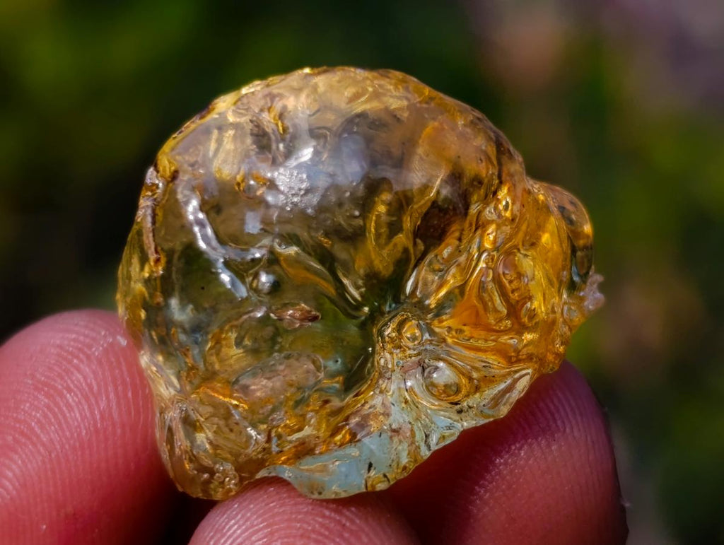 Natural Copal Amber Specimens with Insect and Plant Inclusions x 70 From Lemur Island, Madagascar - Toprock Gemstones and Minerals 