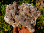 Natural Large Drusy Quartz Coated Calcite Cluster Specimen x 1 From Albert's Mountain, Lesotho - Toprock Gemstones and Minerals 
