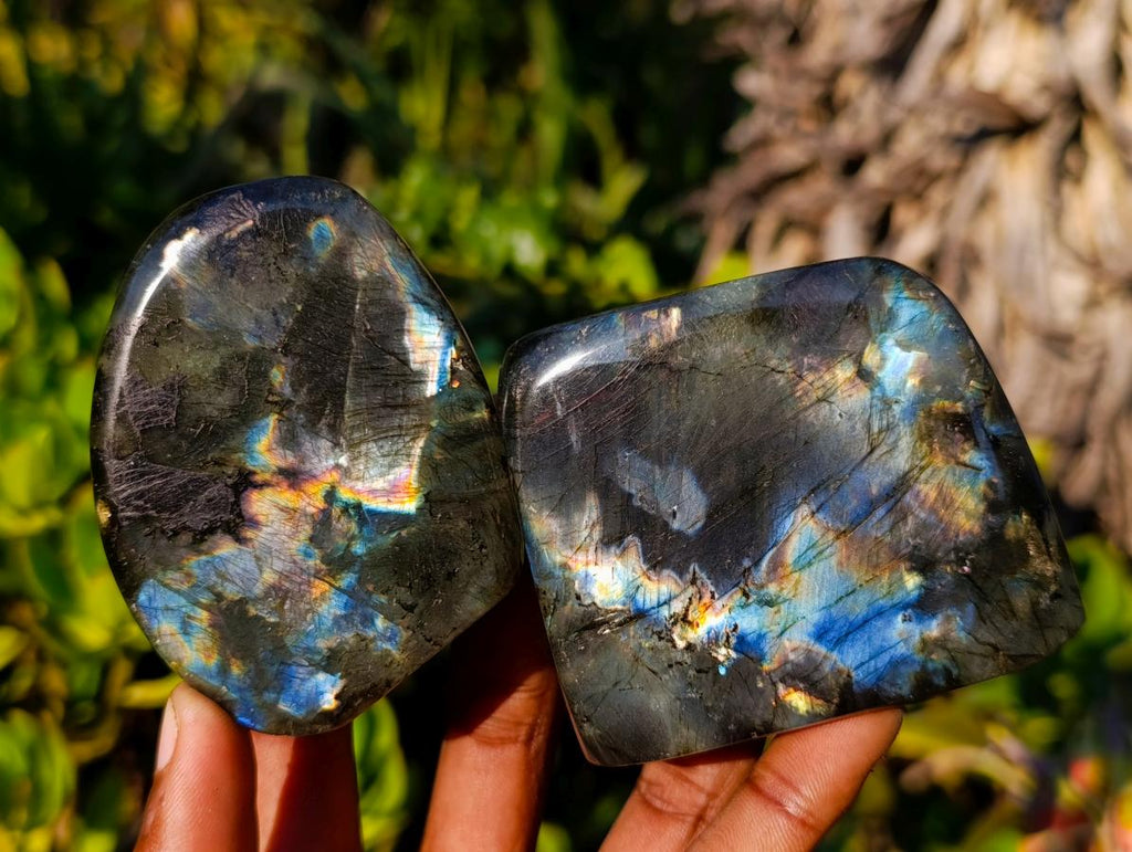 Polished Rare Spectrolite Labradorite Standing Display Pieces x 6 From Madagascar - Toprock Gemstones and Minerals 