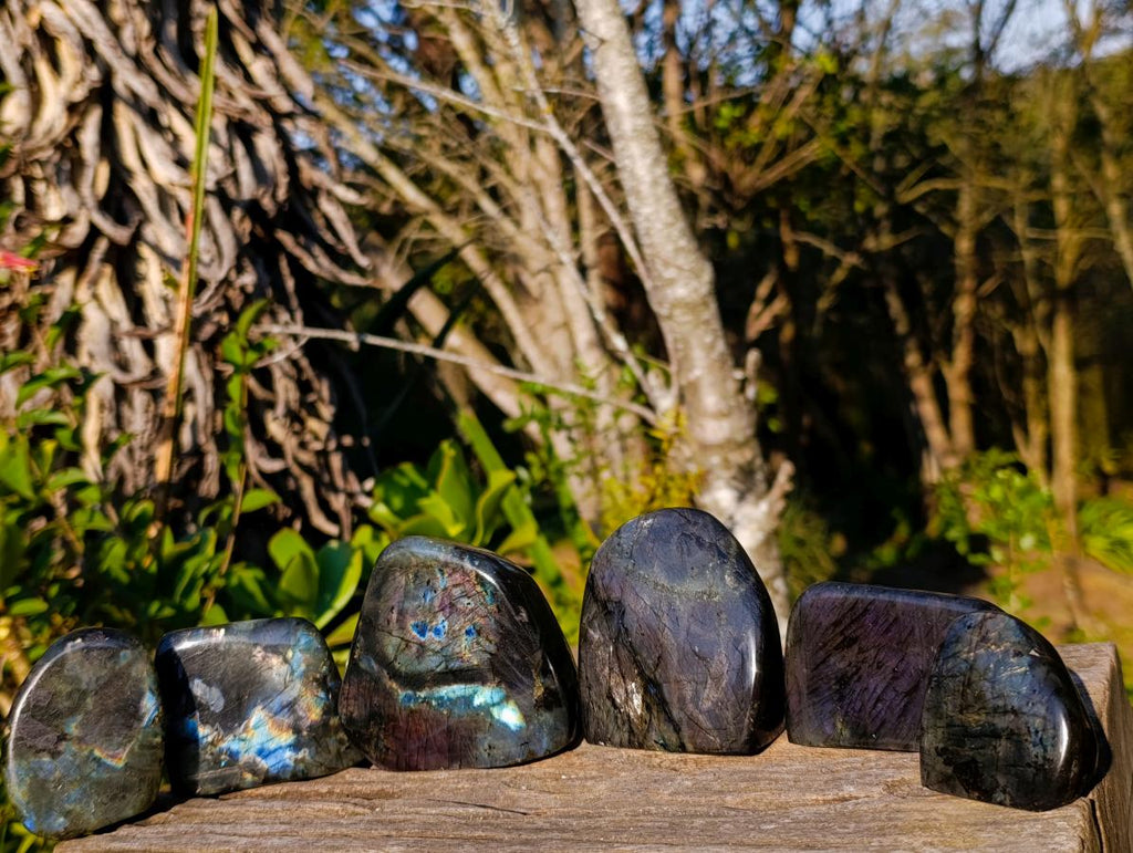 Polished Rare Spectrolite Labradorite Standing Display Pieces x 6 From Madagascar - Toprock Gemstones and Minerals 