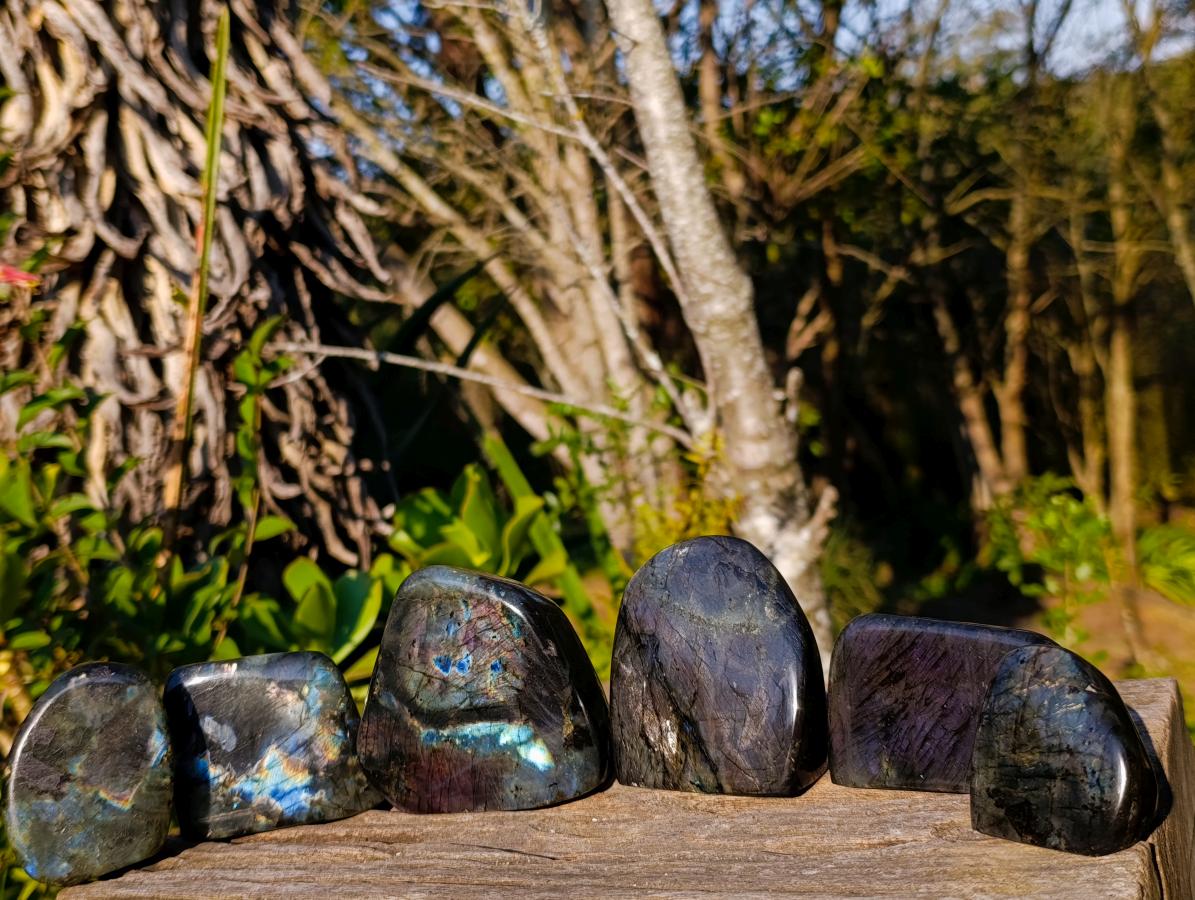 Polished Rare Spectrolite Labradorite Standing Display Pieces x 6 From Madagascar - Toprock Gemstones and Minerals 