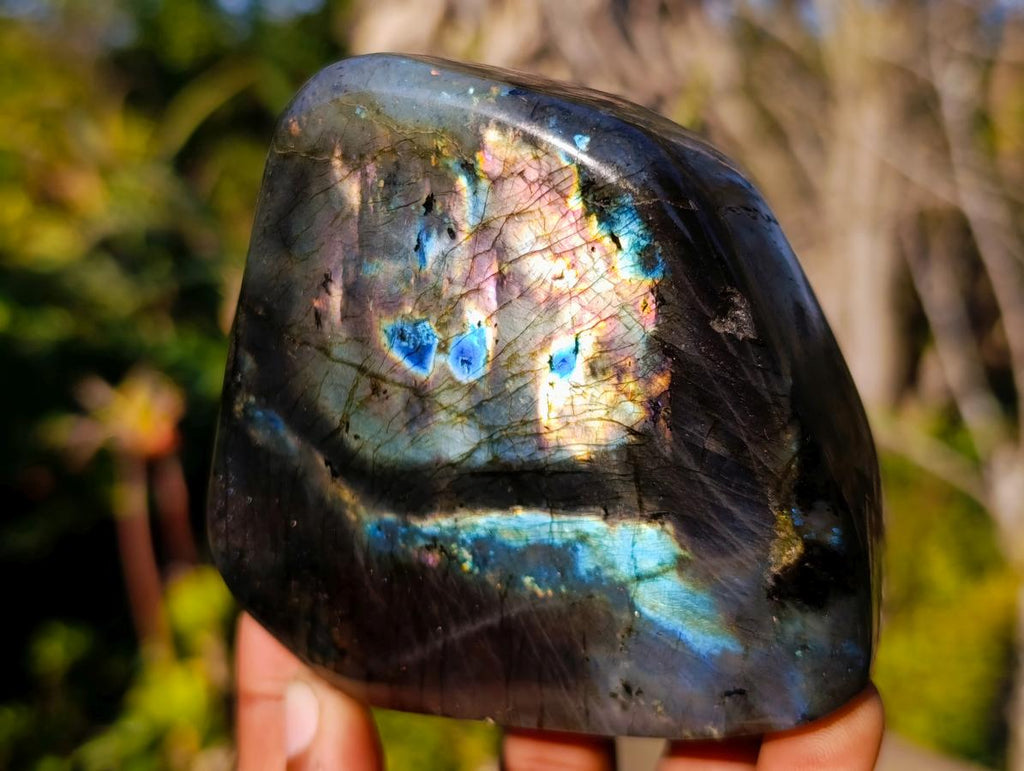 Polished Rare Spectrolite Labradorite Standing Display Pieces x 6 From Madagascar - Toprock Gemstones and Minerals 