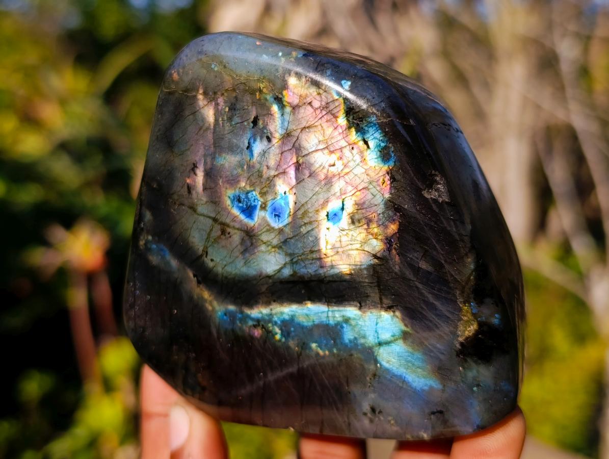 Polished Rare Spectrolite Labradorite Standing Display Pieces x 6 From Madagascar - Toprock Gemstones and Minerals 