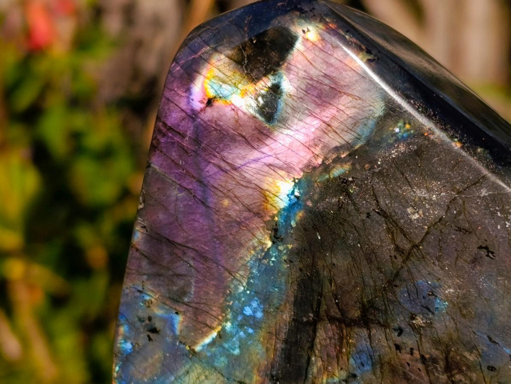 Polished Rare Spectrolite Labradorite Standing Display Pieces x 6 From Madagascar - Toprock Gemstones and Minerals 