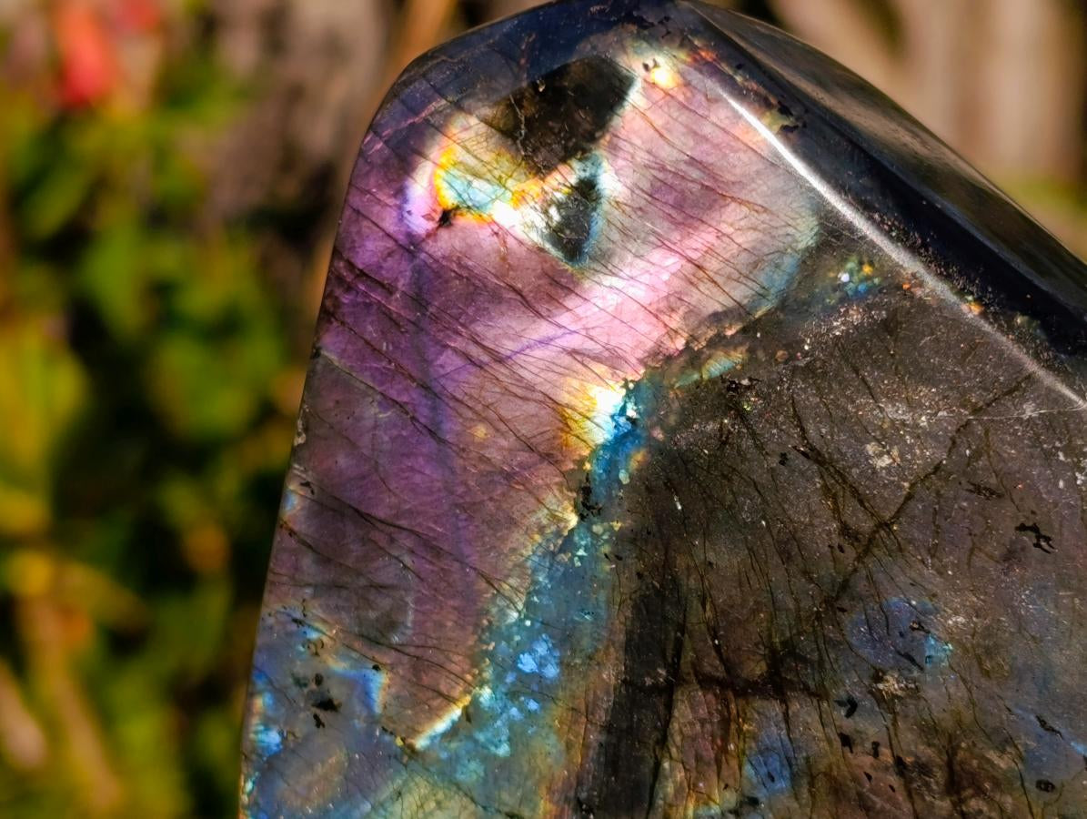 Polished Rare Spectrolite Labradorite Standing Display Pieces x 6 From Madagascar - Toprock Gemstones and Minerals 