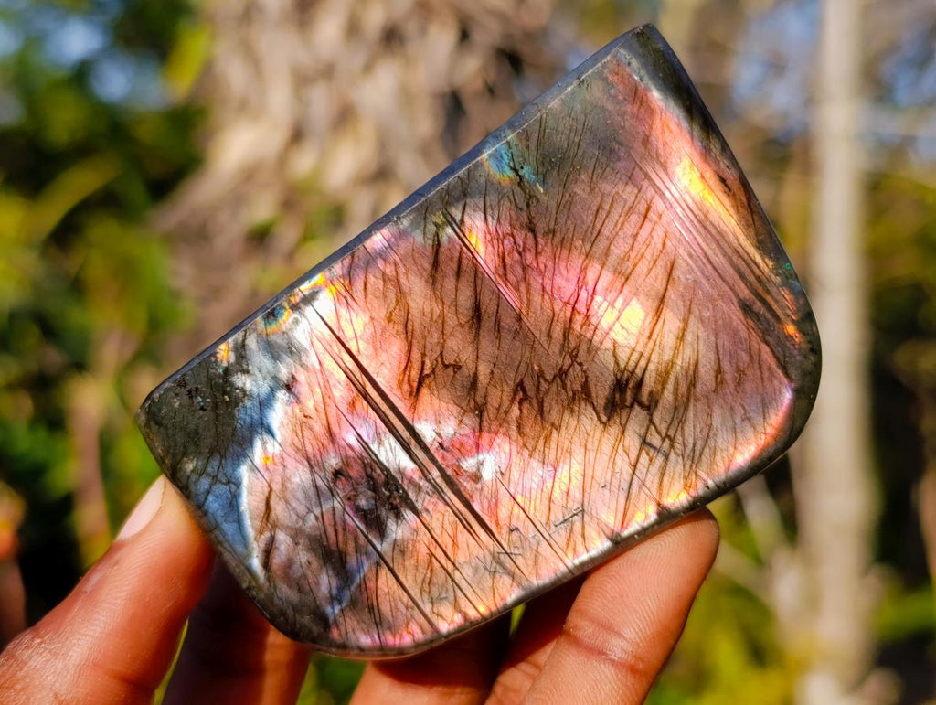 Polished Rare Spectrolite Labradorite Standing Display Pieces x 6 From Madagascar - Toprock Gemstones and Minerals 