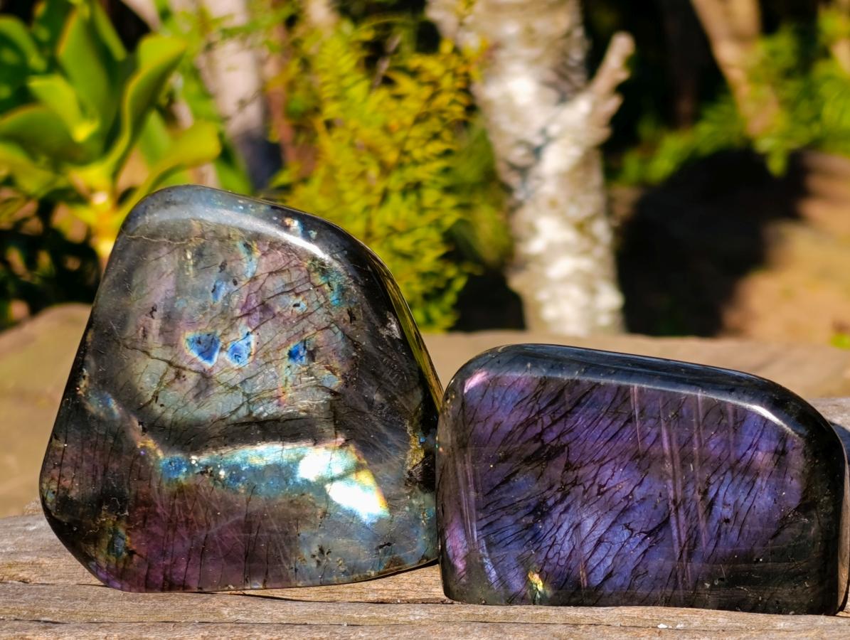Polished Rare Spectrolite Labradorite Standing Display Pieces x 6 From Madagascar - Toprock Gemstones and Minerals 