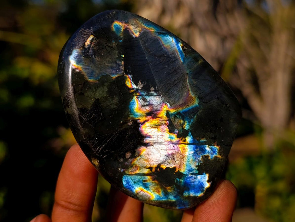 Polished Rare Spectrolite Labradorite Standing Display Pieces x 6 From Madagascar - Toprock Gemstones and Minerals 