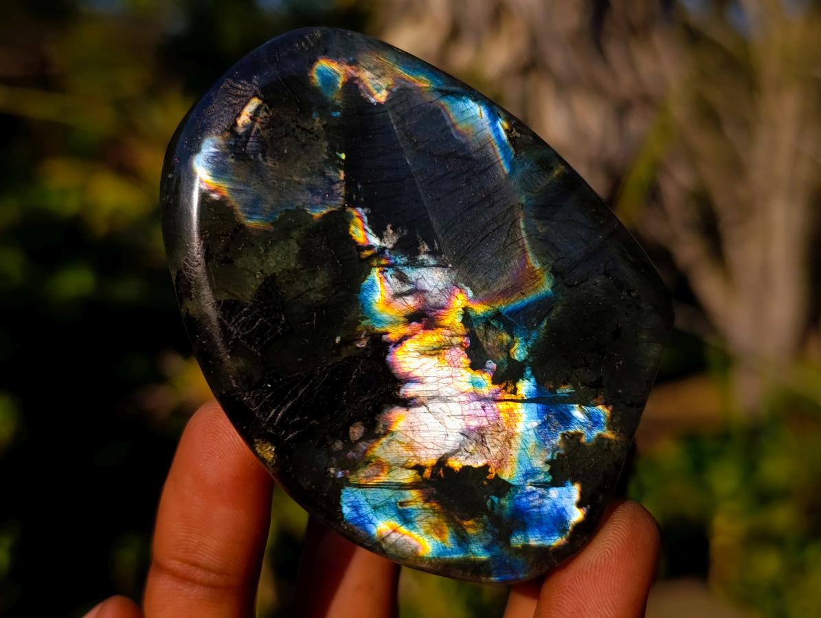 Polished Rare Spectrolite Labradorite Standing Display Pieces x 6 From Madagascar - Toprock Gemstones and Minerals 