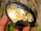 Polished Rare Spectrolite Labradorite Standing Display Pieces x 6 From Madagascar - Toprock Gemstones and Minerals 