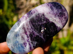 Polished Watermelon Fluorite Palm Stones x 12 From Uis, Namibia - Toprock Gemstones and Minerals 