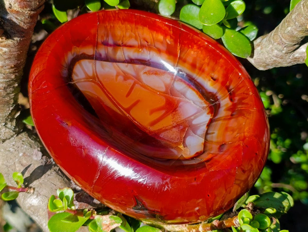 Polished Large Carnelian Agate Gemstone Bowl x 1 From Madagascar - Toprock Gemstones and Minerals 