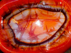 Polished Large Carnelian Agate Gemstone Bowl x 1 From Madagascar - Toprock Gemstones and Minerals 