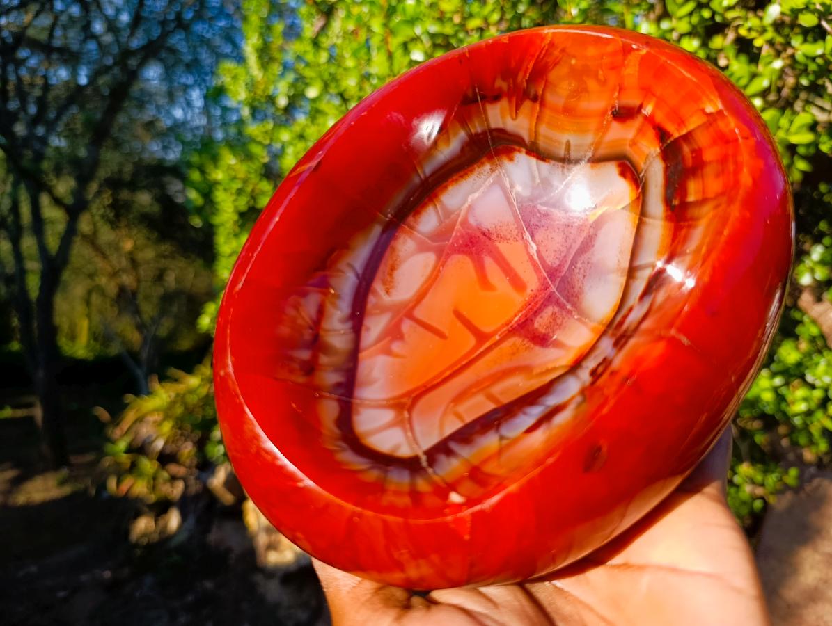 Polished Large Carnelian Agate Gemstone Bowl x 1 From Madagascar - Toprock Gemstones and Minerals 
