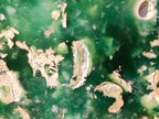 Polished On One Side Large Mtorolite Chrysoprase Slices x 2 From Mutorashanga, Zimbabwe - Toprock Gemstones and Minerals 
