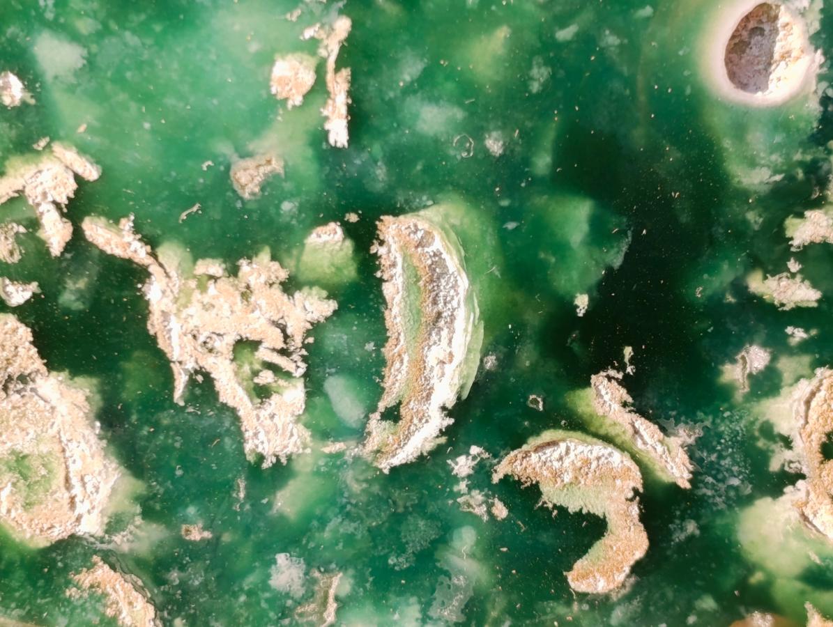 Polished On One Side Large Mtorolite Chrysoprase Slices x 2 From Mutorashanga, Zimbabwe - Toprock Gemstones and Minerals 