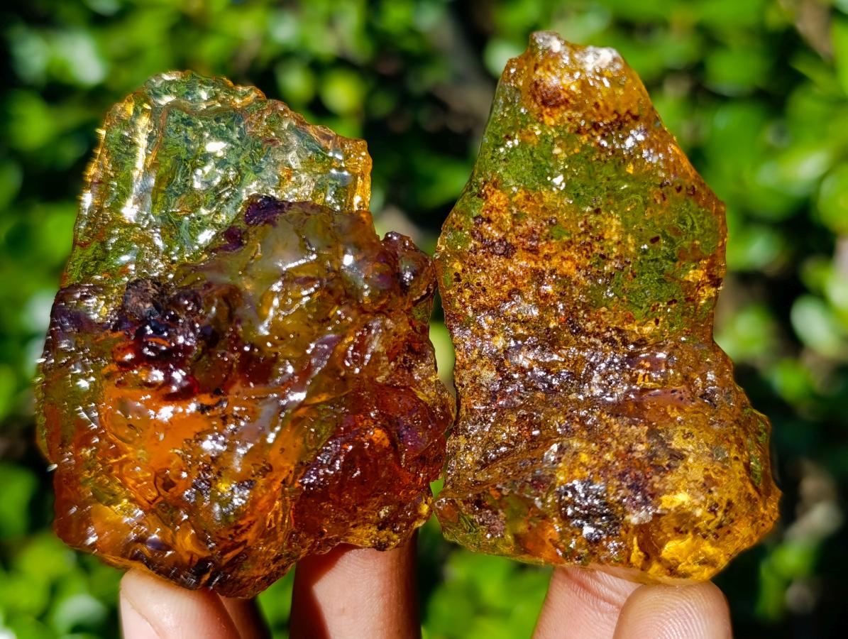 Natural Copal Amber Specimens with Insect and Plant Inclusions x 12 From Lemur Island, Madagascar - Toprock Gemstones and Minerals 
