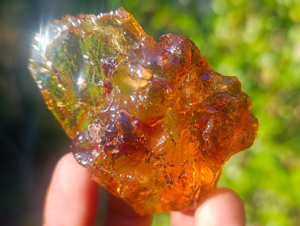 Natural Copal Amber Specimens with Insect and Plant Inclusions x 12 From Lemur Island, Madagascar - Toprock Gemstones and Minerals 