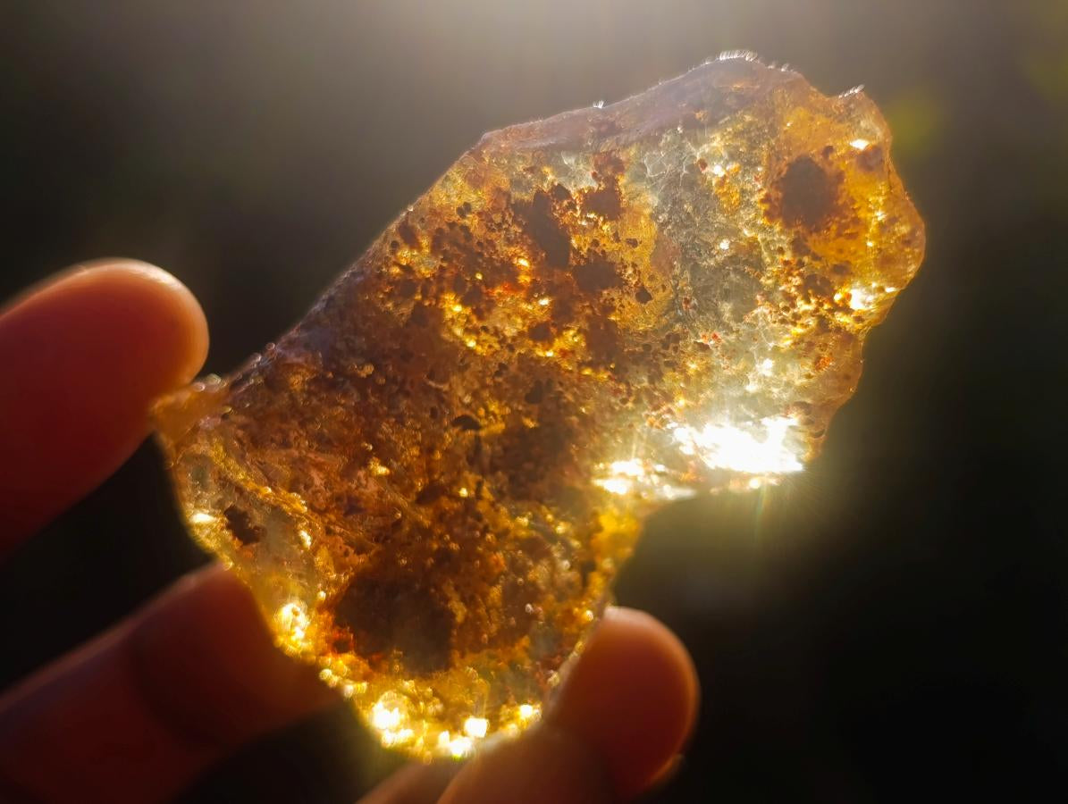 Natural Copal Amber Specimens with Insect and Plant Inclusions x 12 From Lemur Island, Madagascar - Toprock Gemstones and Minerals 