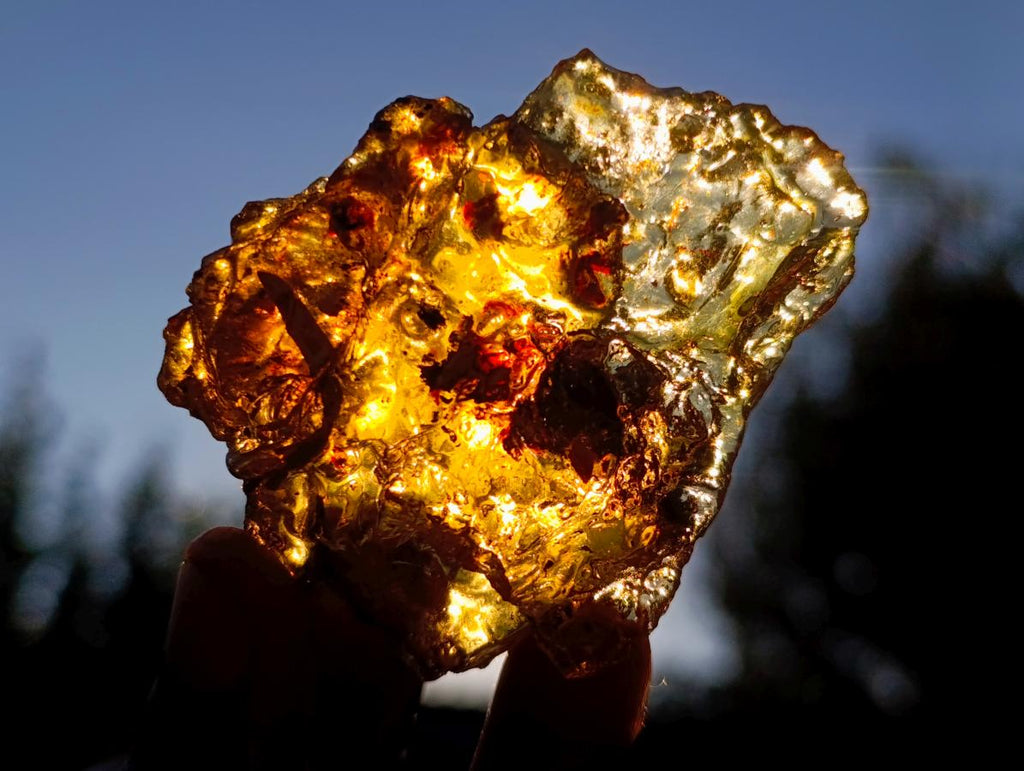 Natural Copal Amber Specimens with Insect and Plant Inclusions x 12 From Lemur Island, Madagascar - Toprock Gemstones and Minerals 